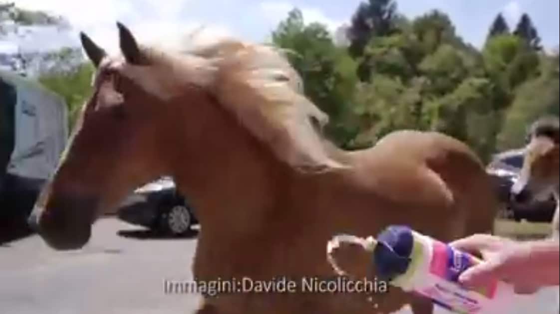 Giro d'Italia, l'invasione che non ti aspetti