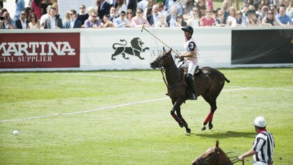 Polo: Passione e stile