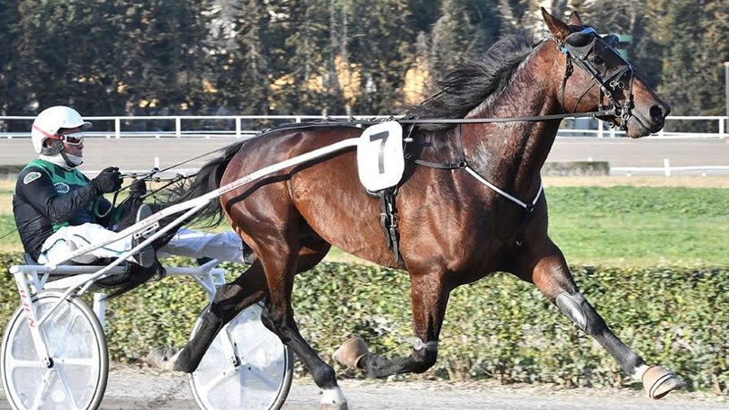 Bellei, nono Ponte Vecchio