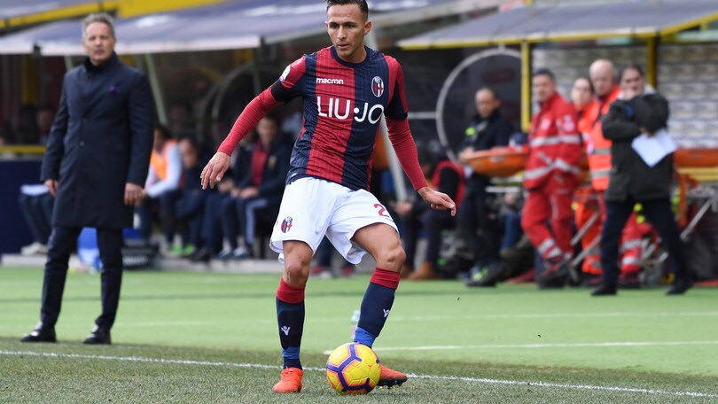 Serie A Bologna, parte di lavoro in gruppo per Edera