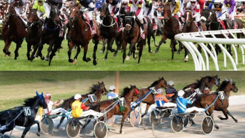 Solo Irish Girl nel Derby