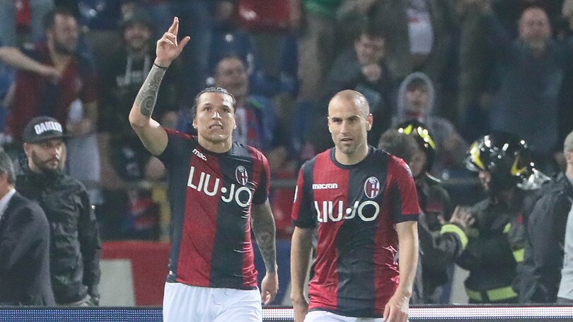 Il Dall’Ara impazzisce per Santander: il Napoli chiude con un ko