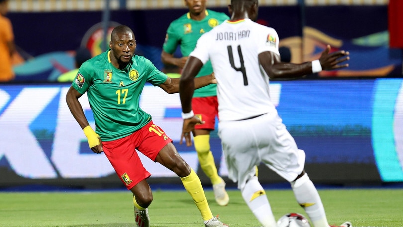 Risultati immagini per camerun coppa d'africa