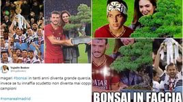 La Roma alza... un bonsai! Si scatenano le ironie social