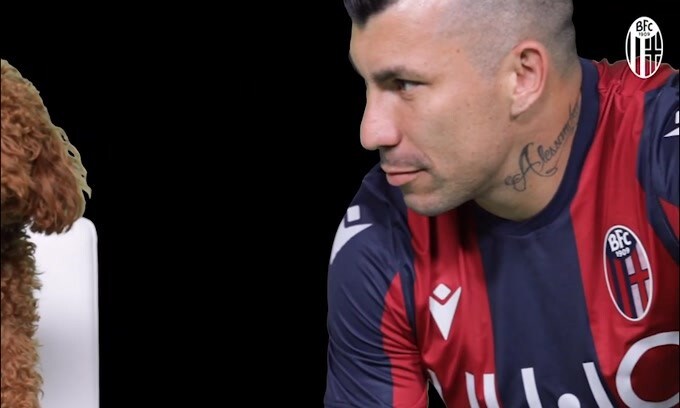 "Con il Pitbull non si scherza": ecco la presentazione di Medel