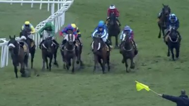 #9/12/2019 Ippicanews