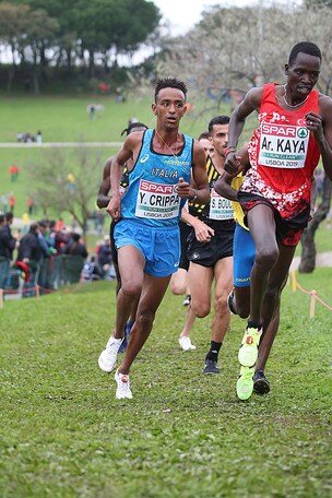 Il cross Campaccio profuma d'Europa