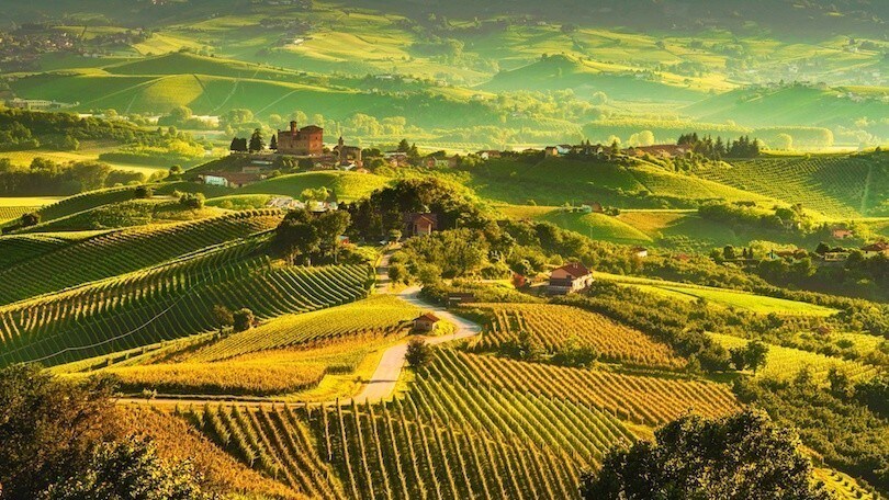 Alba da sempre è la regina del gusto che offre il vino ed i tartufi immersi tra vigneti ed i castelli tra le colline a sud del piemonte. truffleat 2 Alba e Langhe, scoprendo l'arte del gusto
