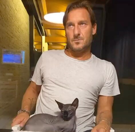 Ilary, la rivelazione: "A casa c'è una donna incinta". La reazione di Totti