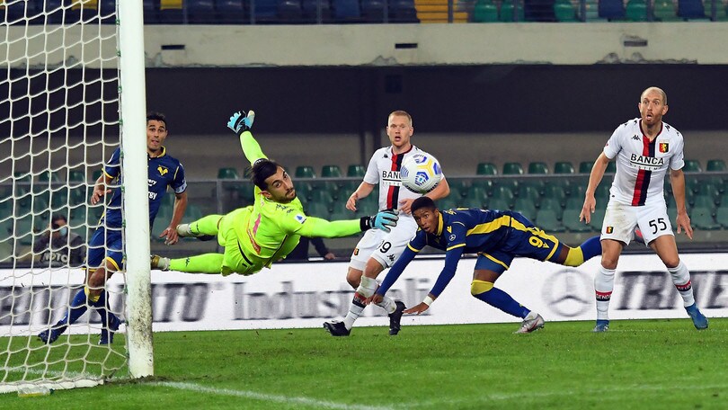 Perin è un muro: il Genoa resiste a Verona