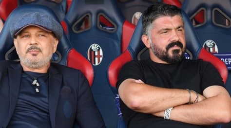 Napoli e Bologna come Gattuso e Mihajlovic: c'è un dato che li accomuna