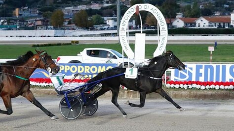 #7/12/2020 Ippicanews