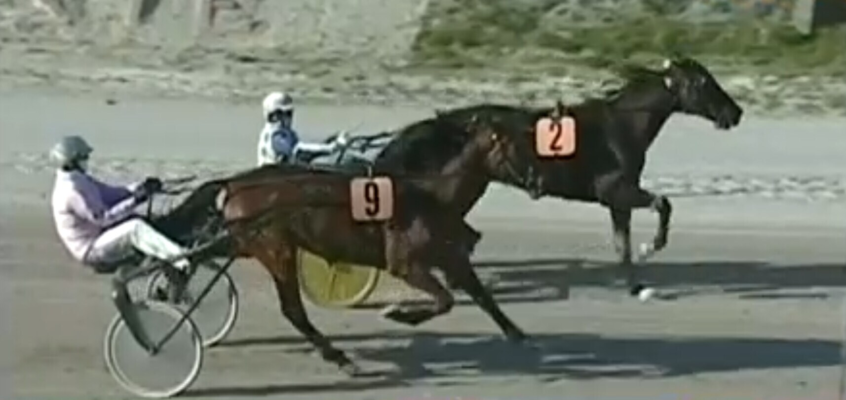 165327149 c1eaac2d c3e9 43fb a3b9 077ae2535ee0 - Arazi Boko, un GP a 14 anni 165327149 c1eaac2d c3e9 43fb a3b9 077ae2535ee0 - Arazi Boko, un GP a 14 anni