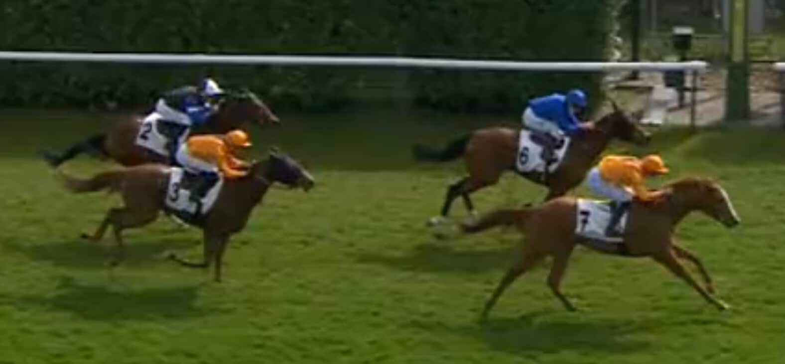 011007074 e290f1de df1a 45c4 9904 230d762c905c - Cassiopea, che finish a Chantilly! 011007074 e290f1de df1a 45c4 9904 230d762c905c - Cassiopea, che finish a Chantilly!