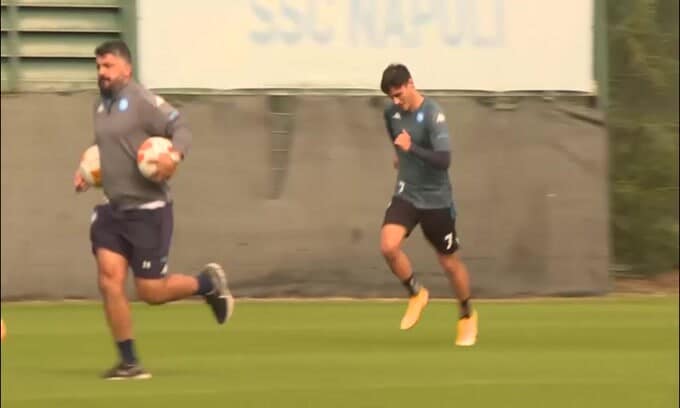 Guarda il videoAttento Napoli, Gattuso vuole portar via Insigne 105737498 9e4a3d44 9b38 4989 a7fb e5016701aca1 - Fontana: "Allegri al Napoli? No, avanti con Gattuso"