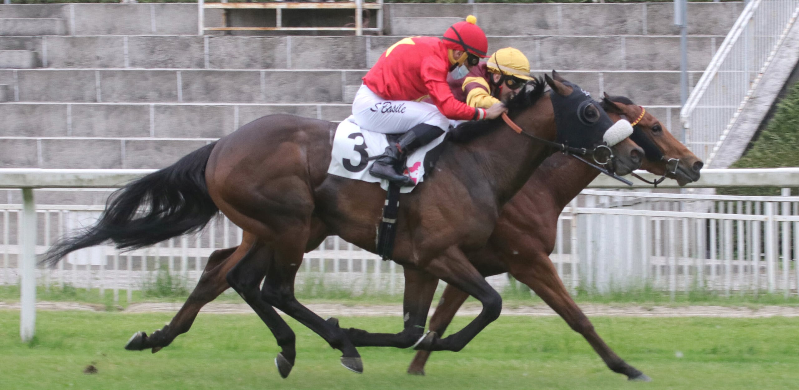 004157611 01f8c15e 2f84 4580 afe4 9efa14767beb - Collinsbay, allez France 004157611 01f8c15e 2f84 4580 afe4 9efa14767beb - Collinsbay, allez France