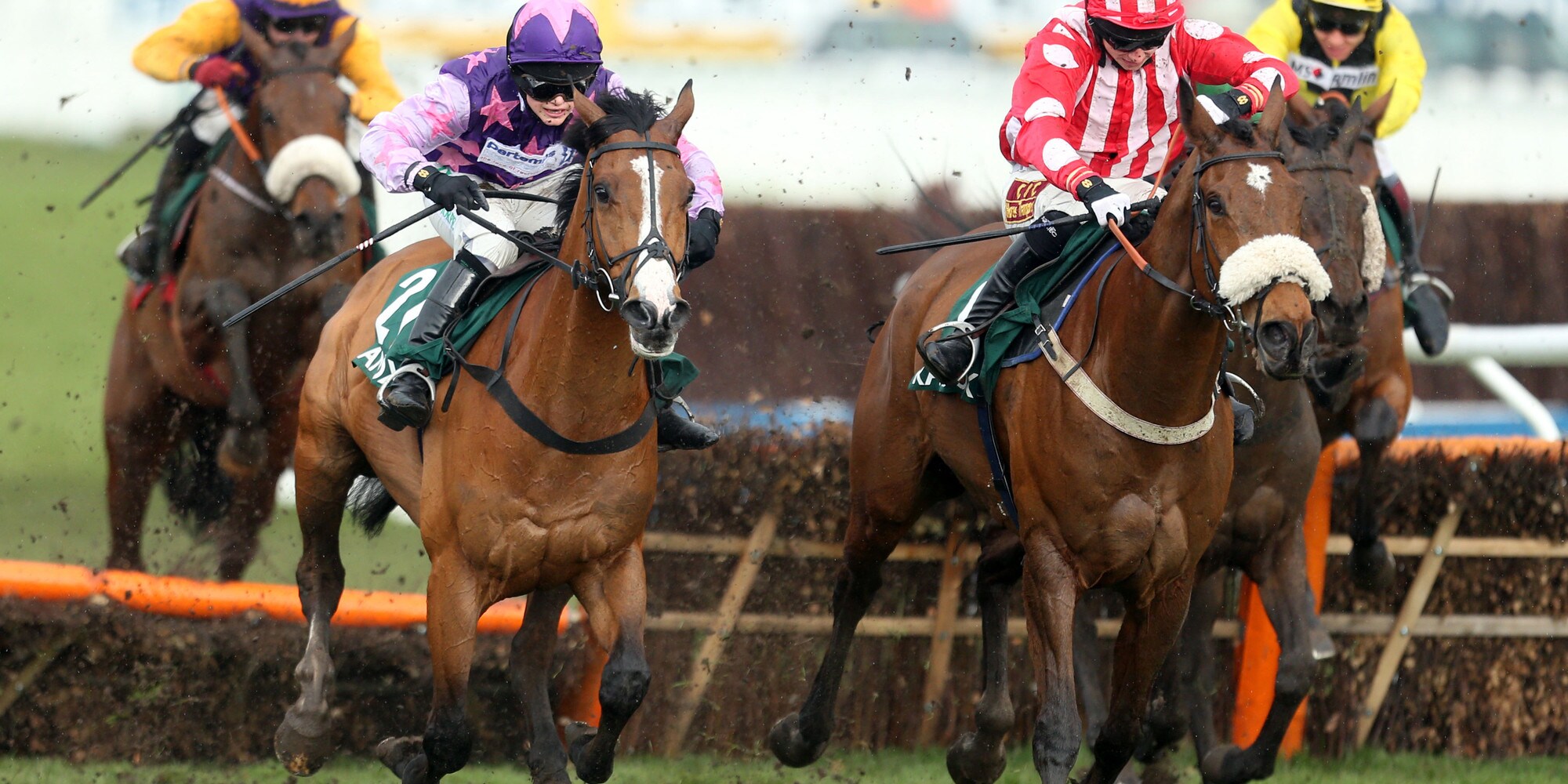 Tokyo2020, equitazione l'australiano Anthony Hoy all'ottava Olimpiade