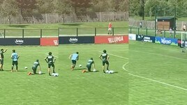 Bologna, il professor Mihajlovic spiega la punizione e Orsolini segna! VIDEO