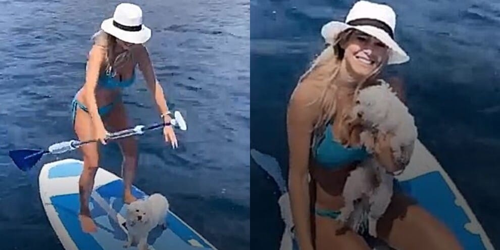 Diletta Leotta e Brando: abbracci e coccole in mezzo al mare