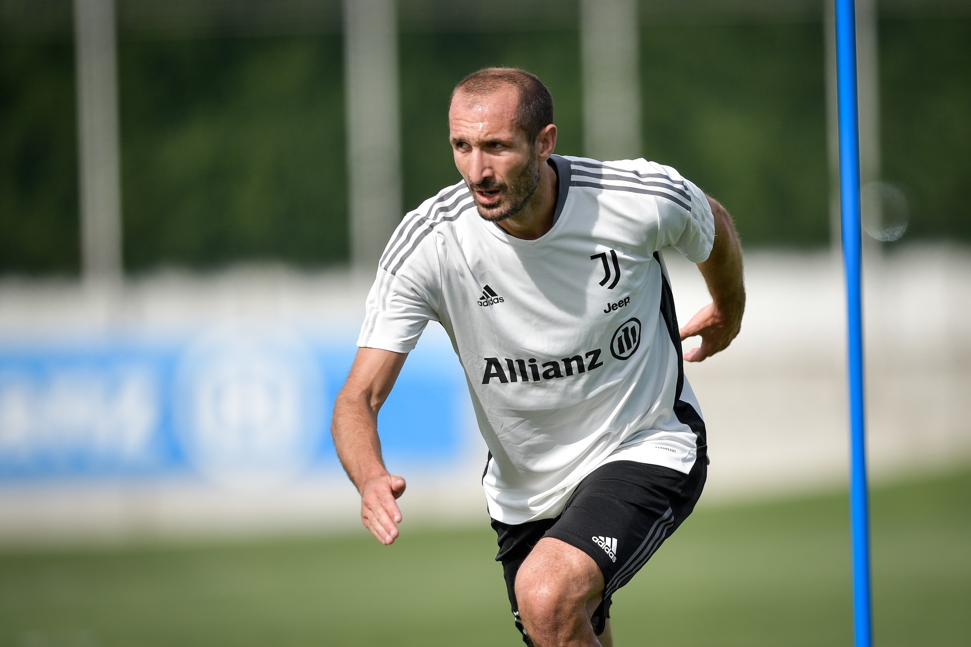 La Juve torna al lavoro: out Chiellini per un contatto con un positivo