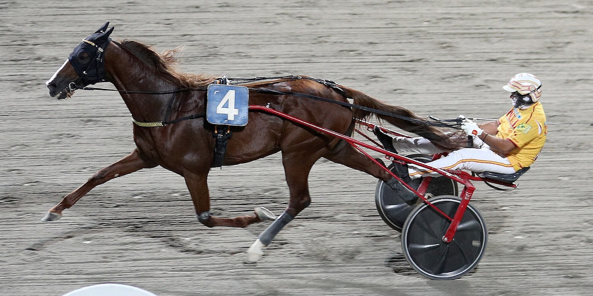 Vernissage Grif con l'8 e il