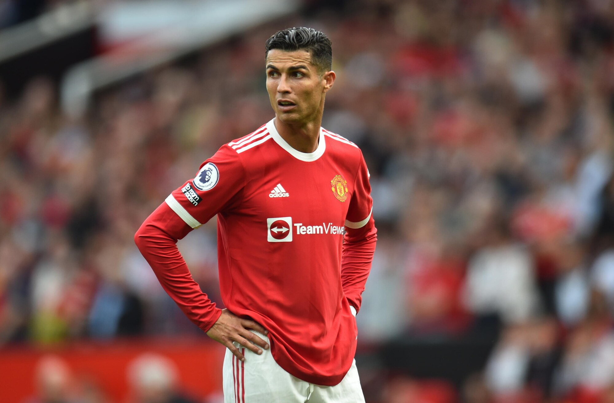 Cristiano Ronaldo costretto a trasferirsi: la colpa è delle pecore