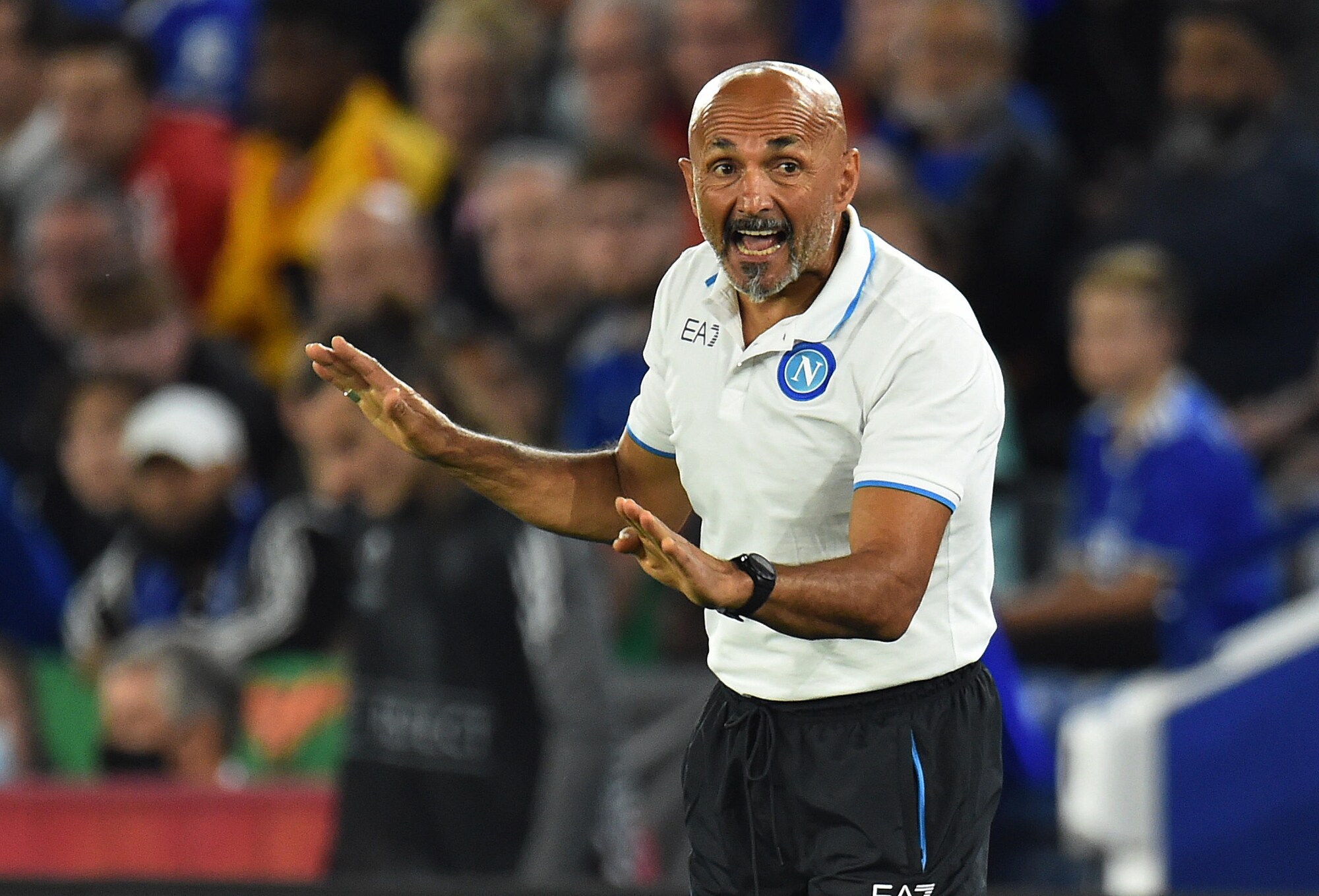 Napoli, Spalletti: “Osimhen diventerà un super bomber“