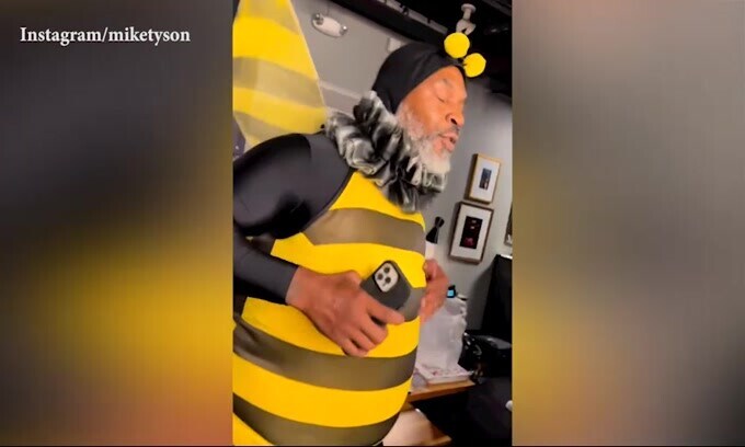 Tyson cosa fai? Eccolo vestito da ape