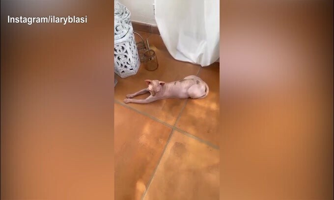 Ilary Blasi tatuata? Lo scherzo della conduttrice