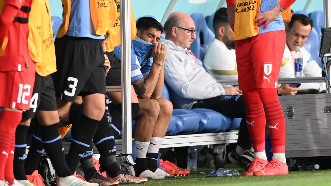 Suarez piange disperato in panchina dopo il gol della Corea del Sud