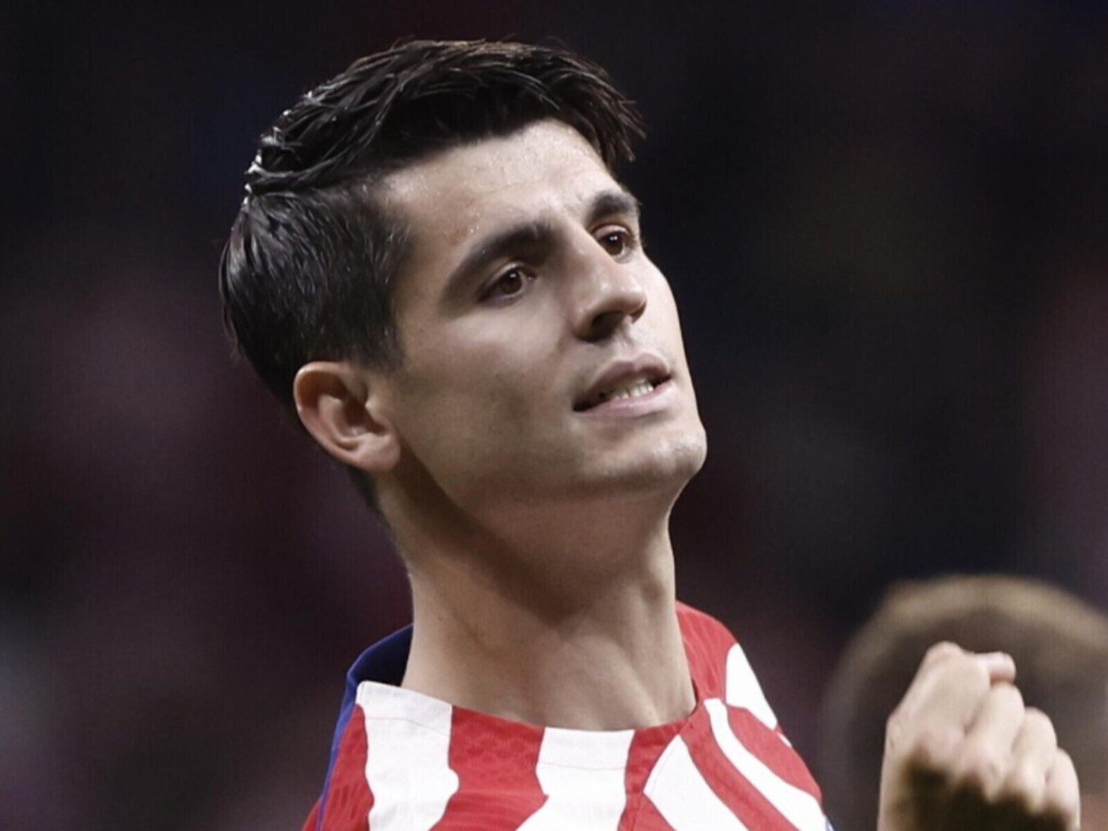 موراتا يقترب من تجديد عقده مع أتلتيكو مدريد.