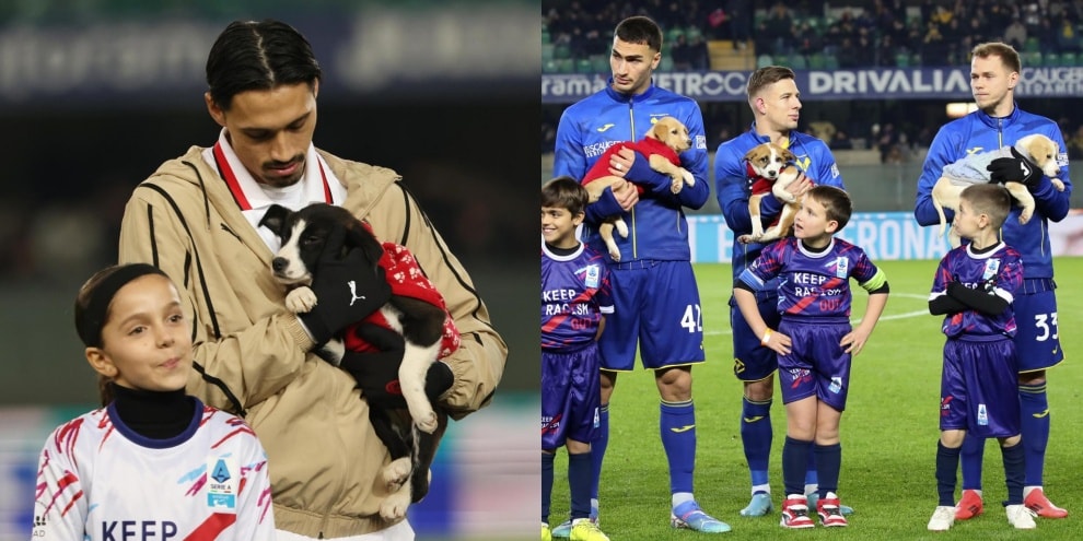 Milan e Verona entrano in campo con i cani in braccio