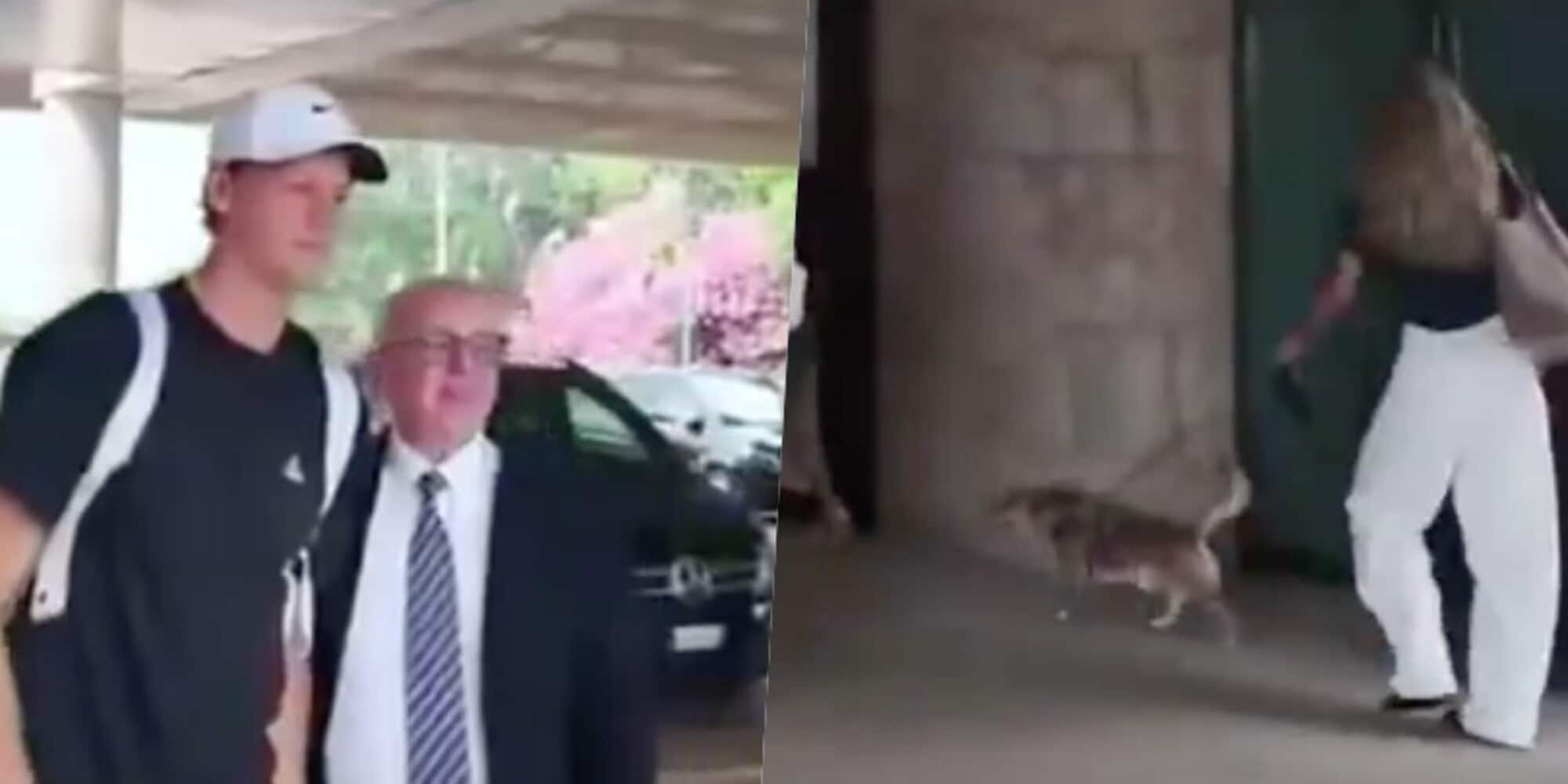 Sinner torna a casa dopo le vacanze in Sardegna: le foto con Laila Hasanovic e il cagnolino