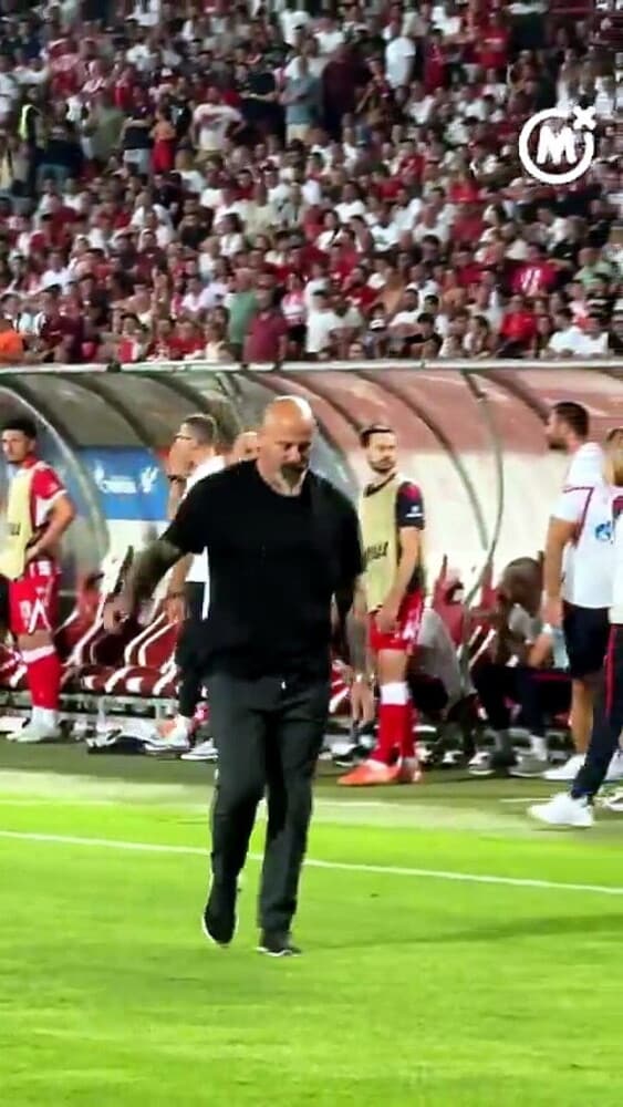 Stankovic espulso, risponde così ai fischi dei suoi tifosi poi si dimette