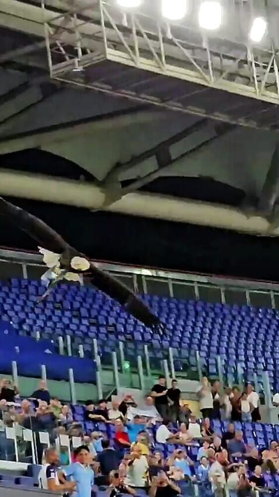 Lazio, una serata da dimenticare: cade anche l'aquila Flaminia