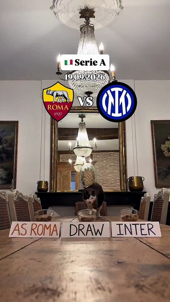 Come finirà Roma-Inter? La previsione del gatto "indovino"