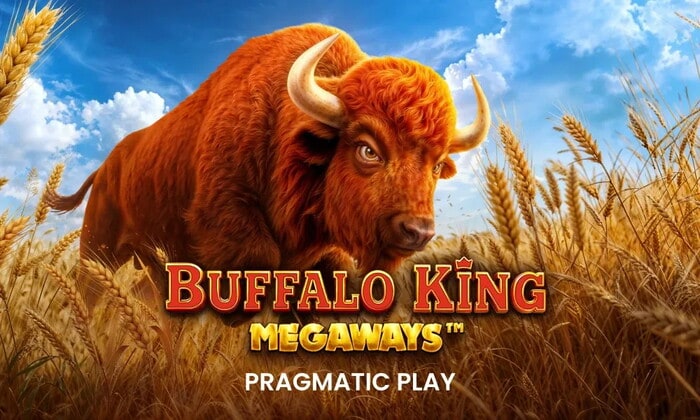 Slot Buffalo King Megaways, bisonte rosso dalle corna bianche in un campo di grano dorato
