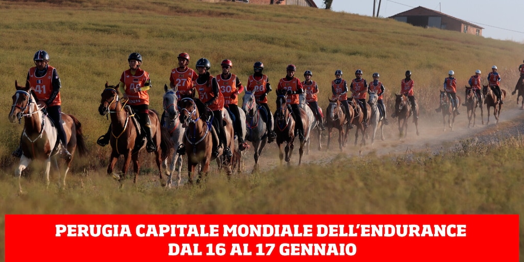 Il Forum mondiale dell’Endurance equestre arriva in Umbria