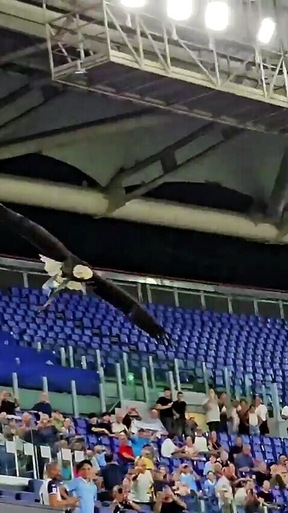Lazio, una serata da dimenticare: cade anche l'aquila Flaminia