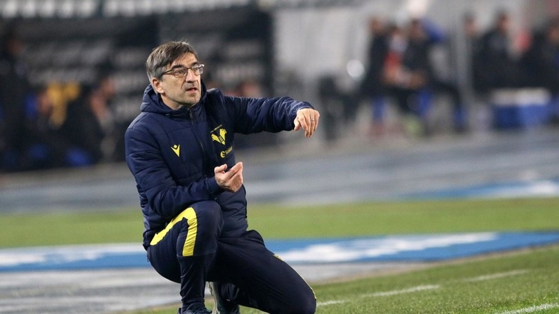 Verona, Juric: "Zaccagni deve continuare così"