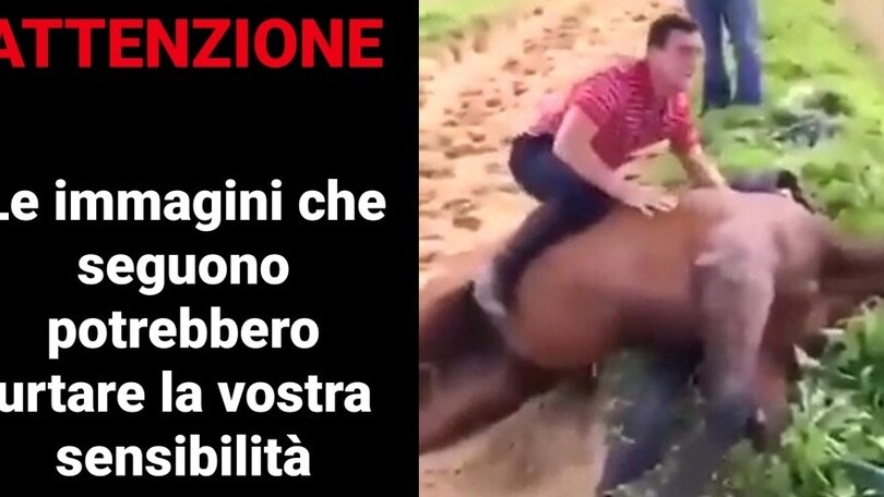Salta sul cavallo morto: bufera in Inghilterra per il video shock