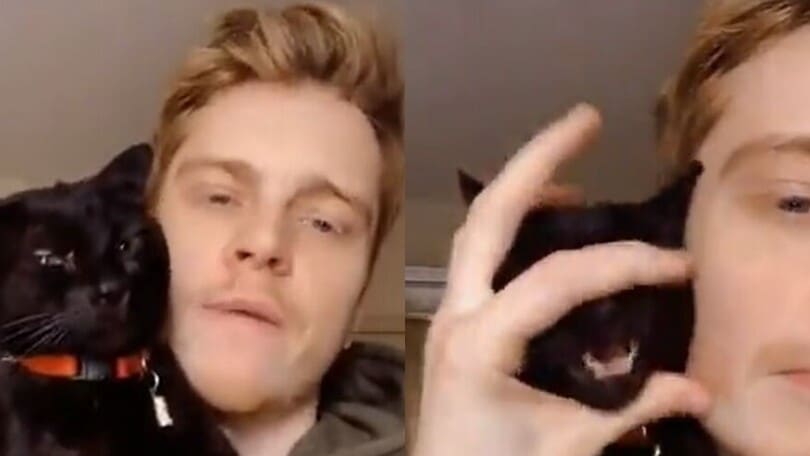 Che duetto! Gatto e padrone cantano Lady Gaga