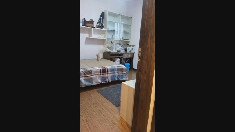 Il cagnolino è un dolcissimo padrone di casa: ecco come si prepara alla pennichella