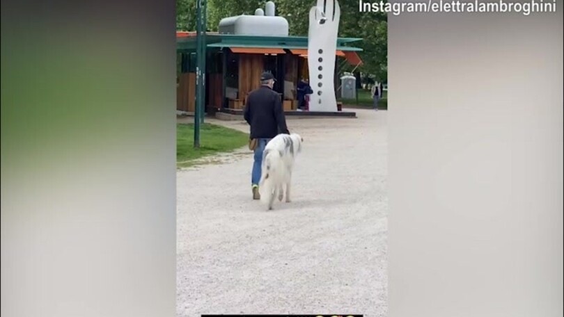 Elettra Lamborghini perde la testa...per un cane