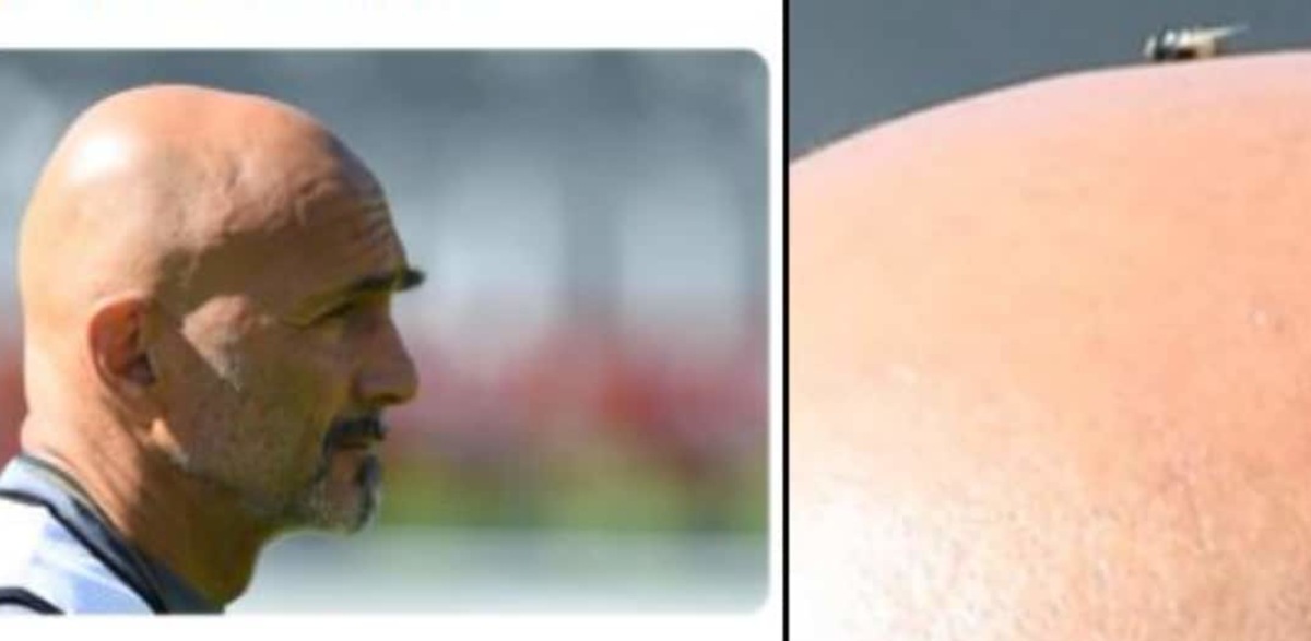 Spalletti e la mosca: c'è un dettaglio che non sfugge ai social