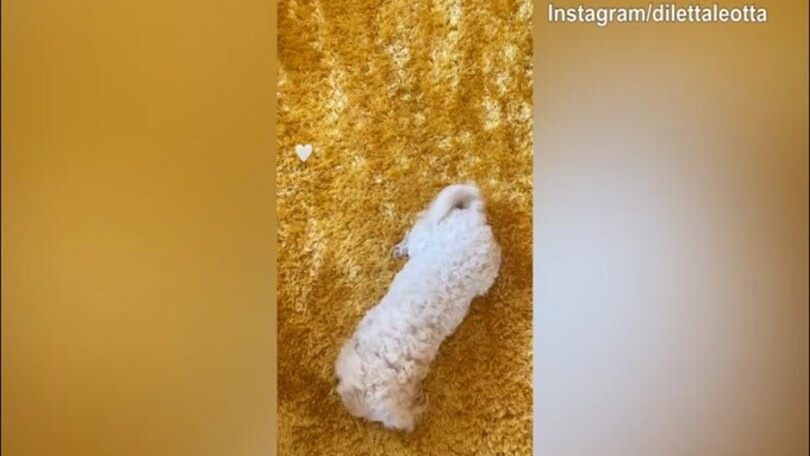Diletta Leotta, che feste dal cane!