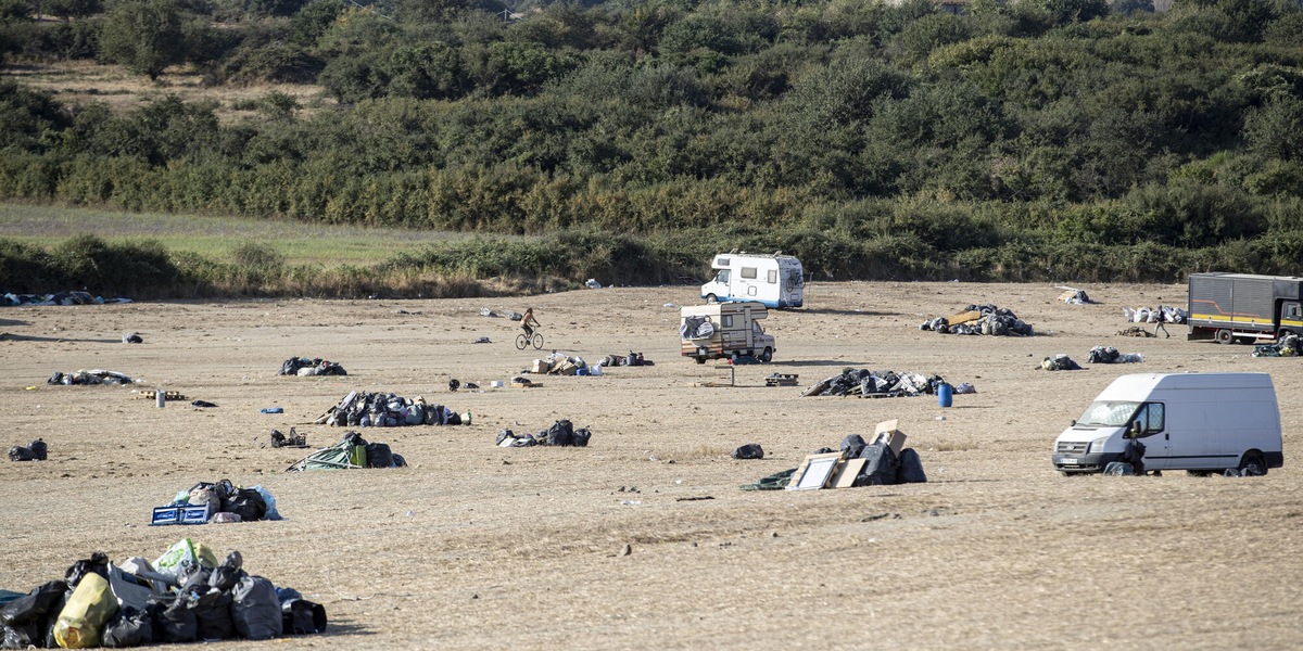 Rave nel viterbese, immondizia e siringhe: dieci pecore sbranate
