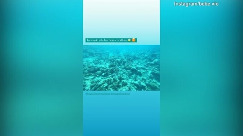 Bebe Vio sott'acqua fino alla barriera corallina