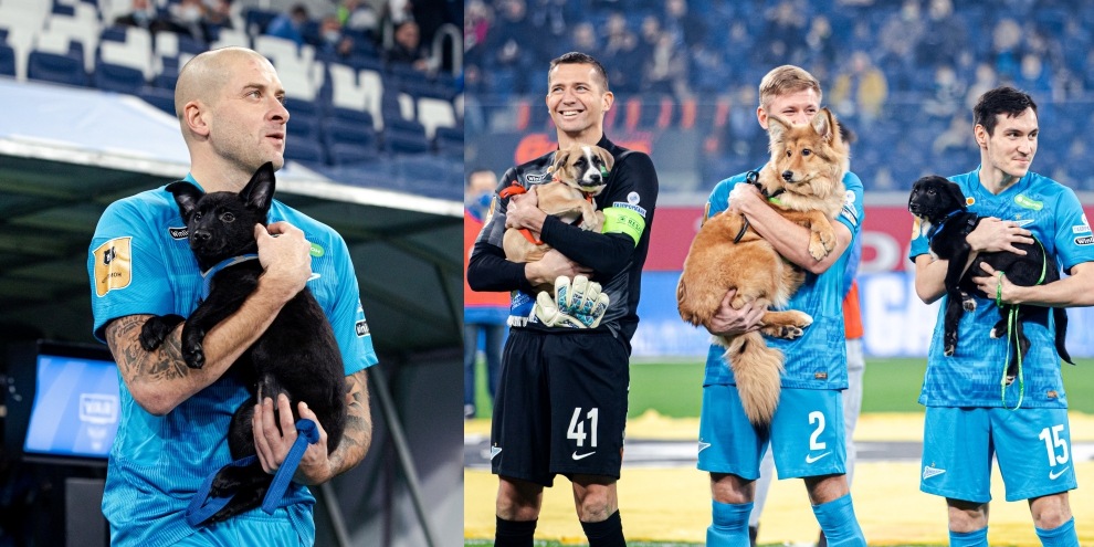 Lo Zenit scende in campo con i cani in braccio FOTO