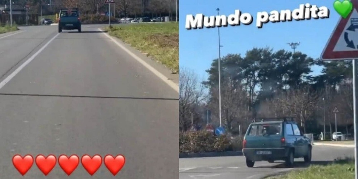 Vidal e la Panda, amore infinito: per il cileno è tutto... "Mundo Pandita"